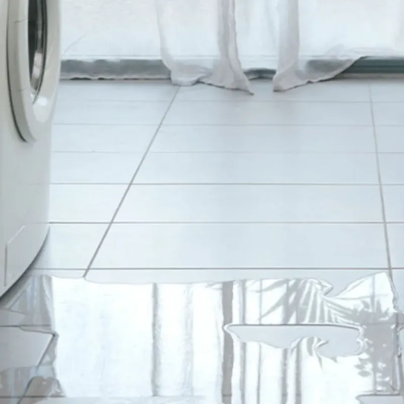 Appliance Leak Cleanup in Hernando, FL